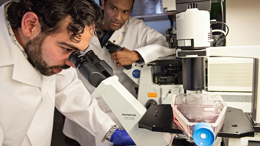 image of researcher looking into microscope