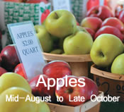 Apples:  mid-August to late October