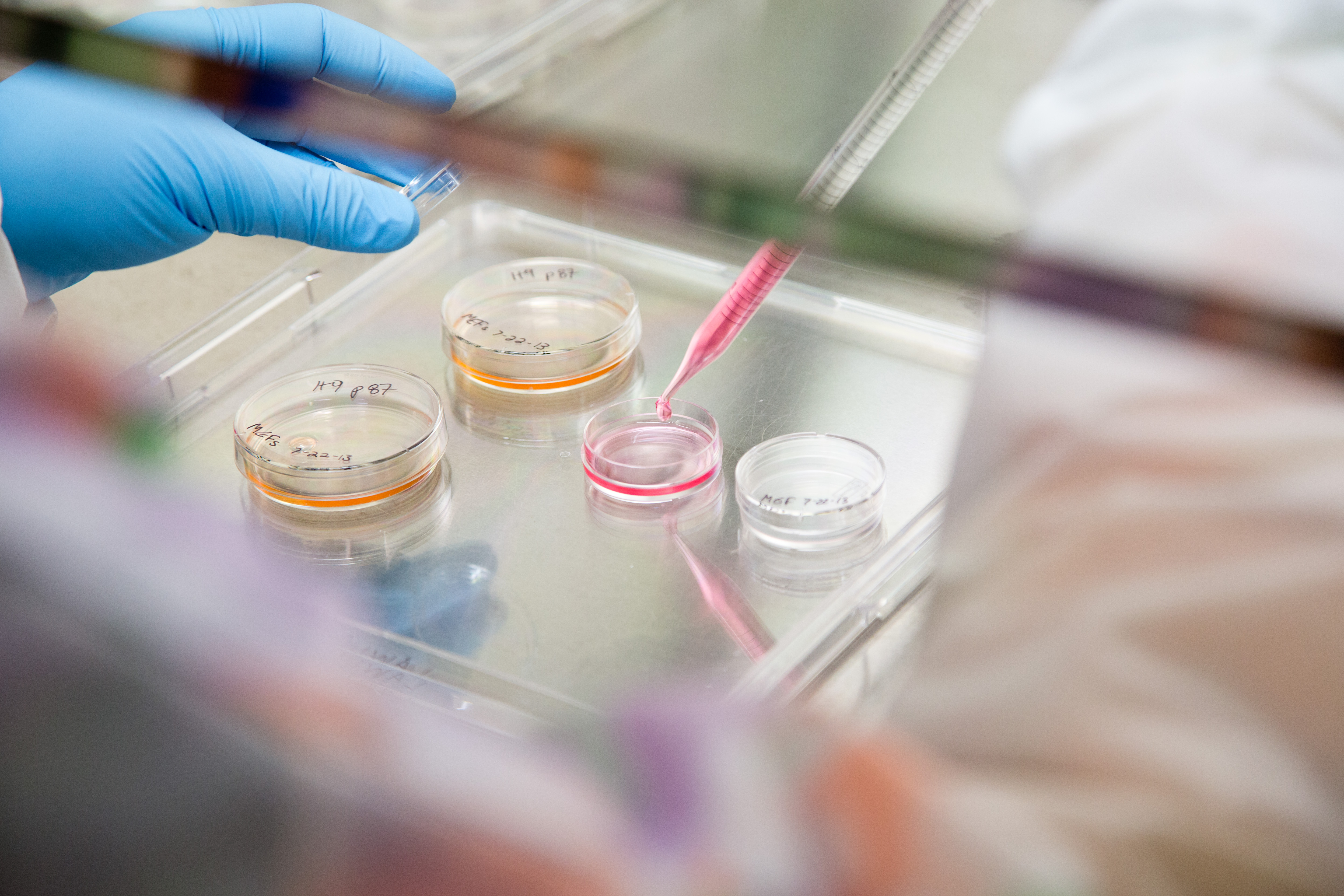 biological sample