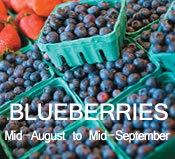 Blueberries: mid-August to mid-September