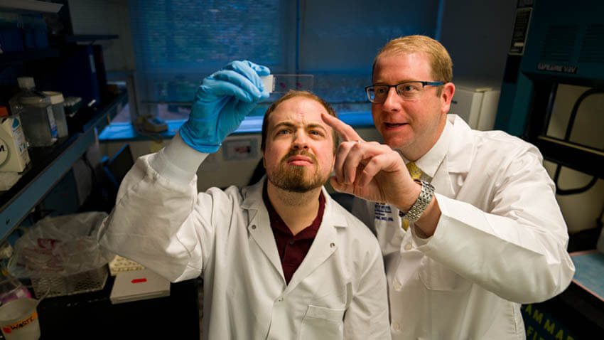 two scientists looking at microscope slide