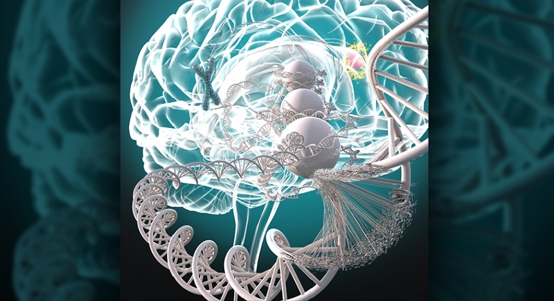image of a brain with a DNA strand