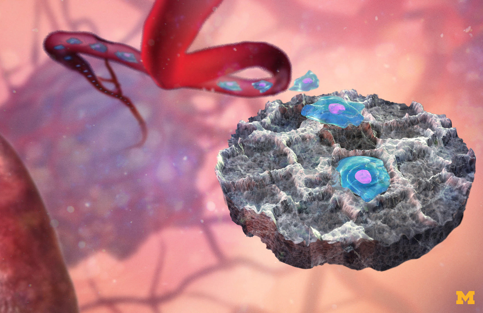 Artistic rendering of a cellular synthetic scaffold