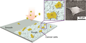 Image of block M with cells inside