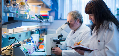 Maria Casro, PhD and Pedro Lowenstein, MD, PhD in their lab