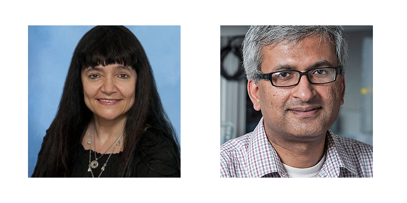 Maria G. Castro, PhD and Deepak Nagrath, PhD