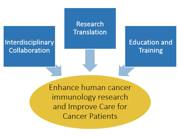 Graphic representation of the Center's mission