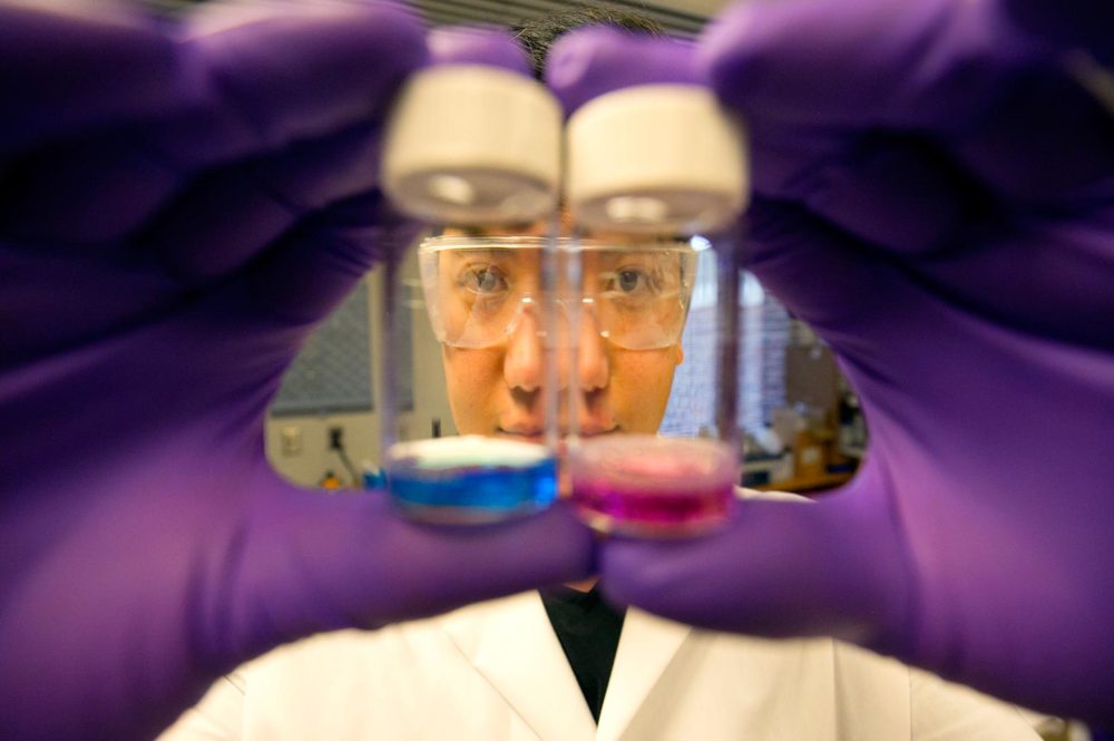 Chang Lee, Ph.D., examines the pH-sensitive dye used in the new cancer imaging technique