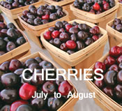 Cherries:  July to August