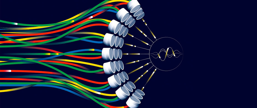 graphic representation of microscopic tissue seen with ultrasound