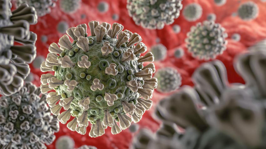 image of the coronavirus