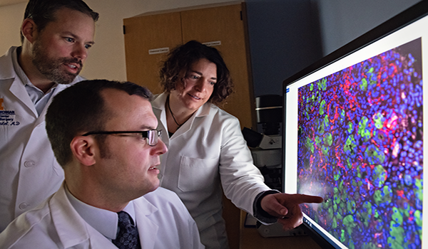Filip Bednar, MD, PhD; Timothy Frankel, MD; and Marina Pasca di Magliano, PhD confer over an image of cancer cells