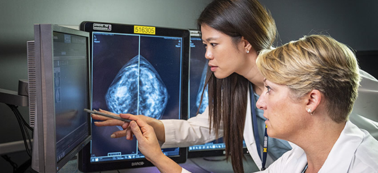 Doctor looking at a computer scan mammogram