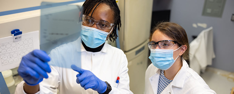 Female, black research trainee collaborates with another trainee who is also female but white