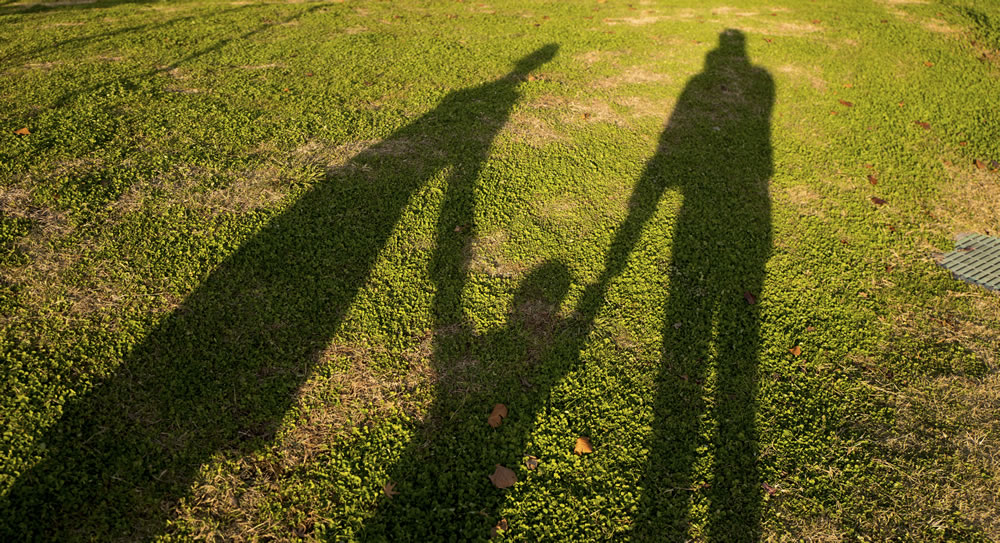 a family's shadow show them in profile