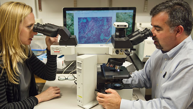 Thomas Giordano, M.D., Ph.D. with research associate Michelle Vinco, M.S.