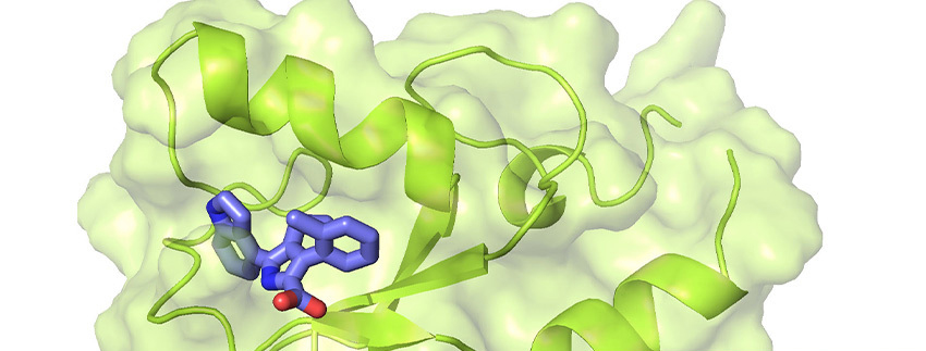 an image of a green blob of spirals with a blue molecule inside it