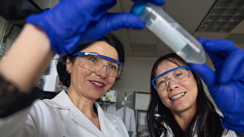 Senior study author Jolanta Grembecka, Ph.D., left, with co-first author Hongzhi Miao, M.S. Photo by Leisa Thompson