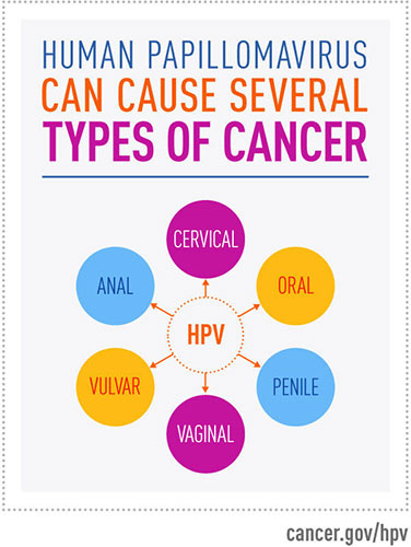 graphic listing the cancers caused by HPV:  cervical, anal, oral, penile, vaginal, vulvar