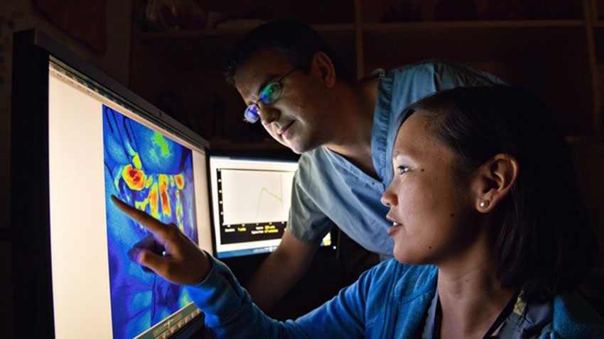 doctors looking at a scan of a patient's blood flow