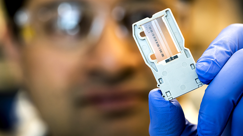 researcher holds up a RNA sequence on a slide