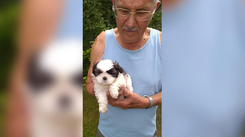 Elderly white man holding small dog