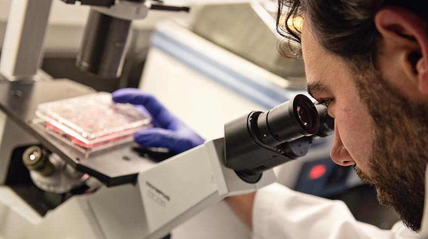 Man looks into microscope