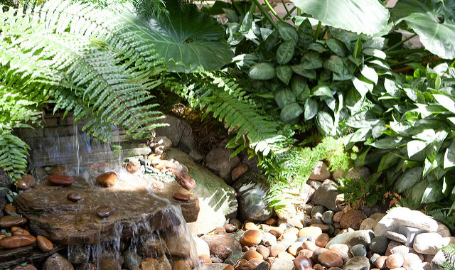 image of a rock garden