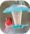 Hang a bird feeder