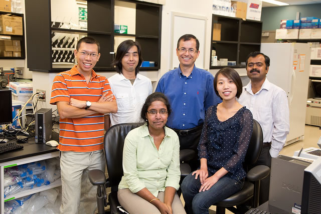 members of the Neamati Lab