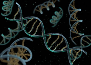 image of DNA