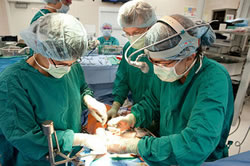 Kidney cancer patients do better when whole kidney is not removed, U-M study shows