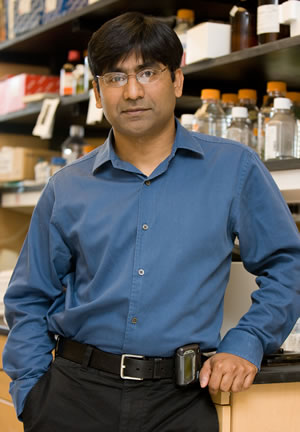 image of Pavan Reddy, M.D.