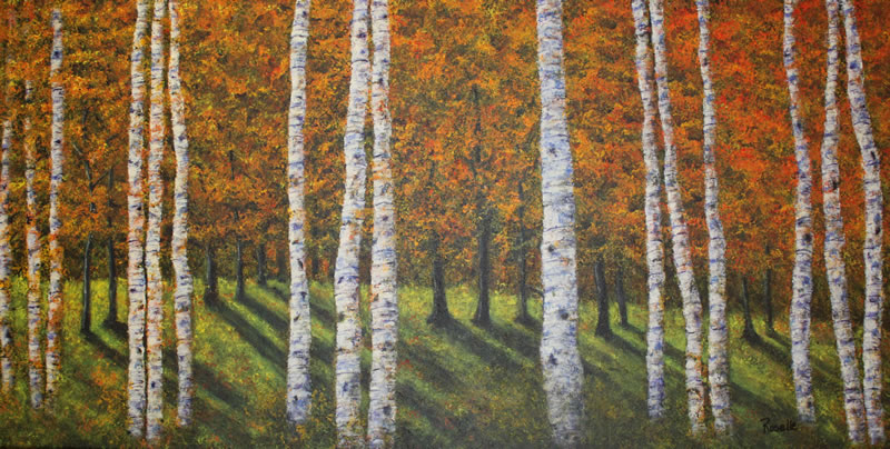 birch trees in autumn sunshine