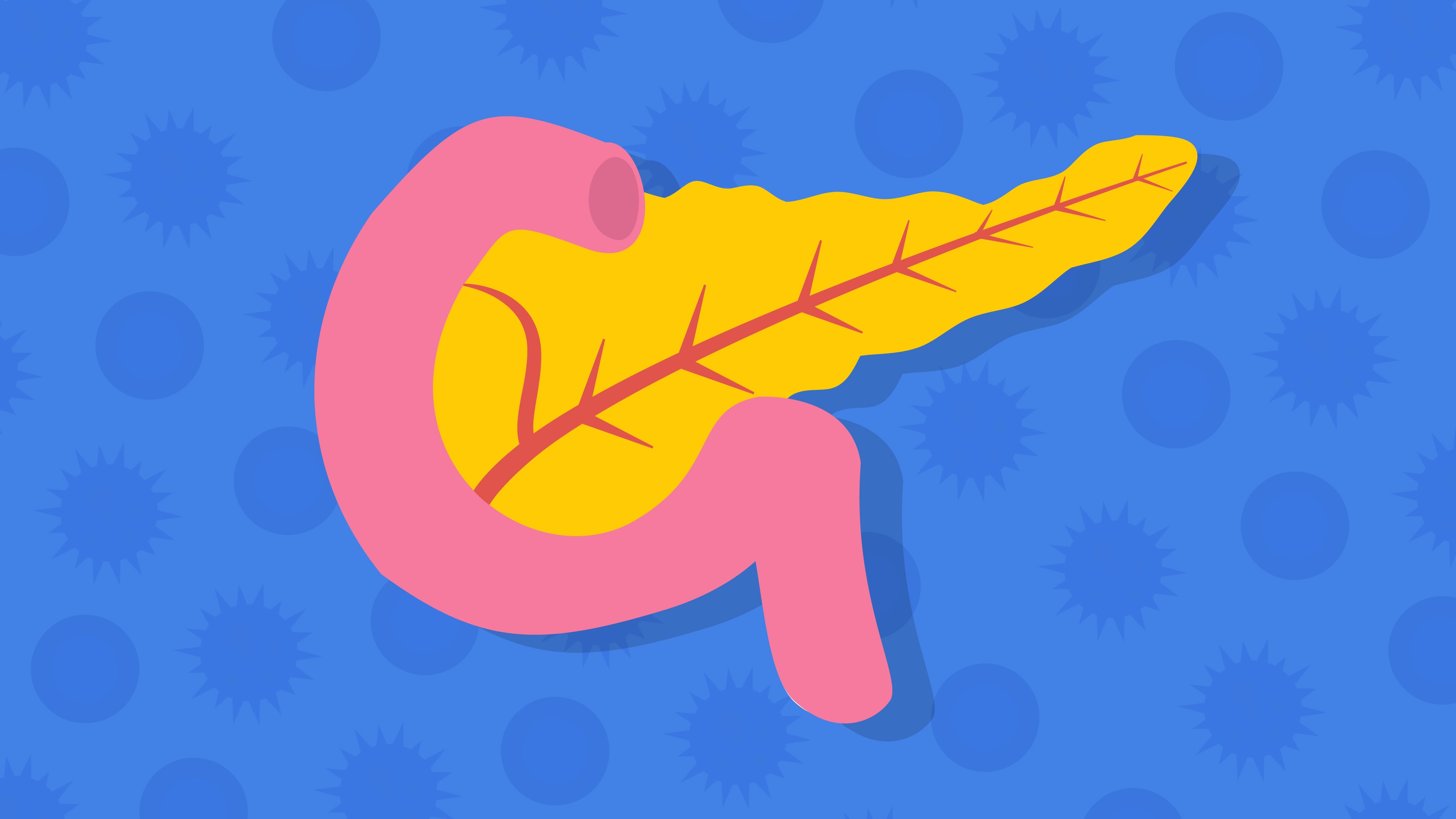 graphic of a pancreas