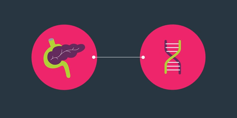 graphic of pancreatic cancer gene