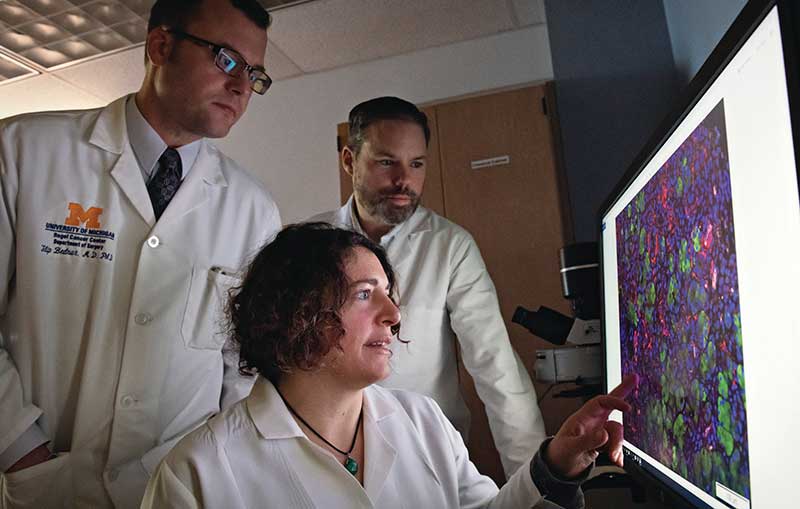 Marina Pasca Di Magliano, Ph.D., Filip Bednar, M.D., and Timothy Frankel, M.D.