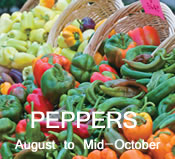Peppers: mid-August to mid-October