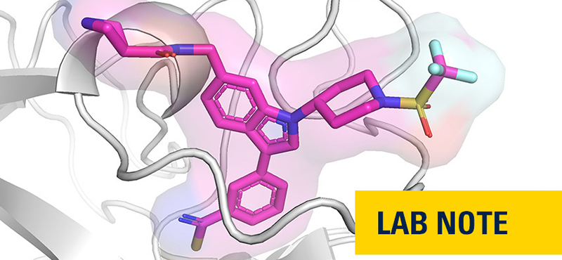 3D model of leukemia cells and protein