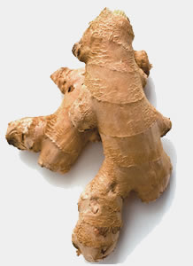 image of ginger
