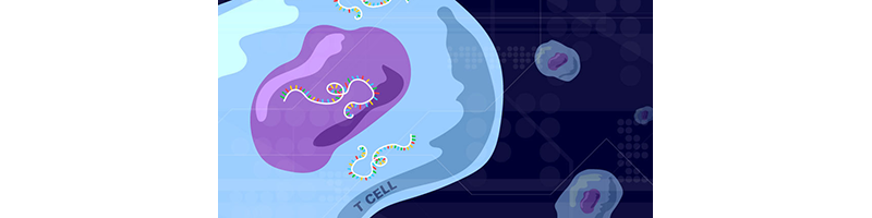 graphical representation of rna strands and t-cells