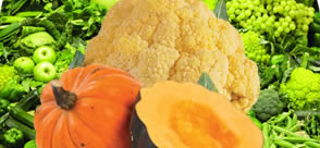 image of cauliflower, squash and other vegetables