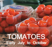 Tomatoes:  Early July to October