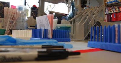 Inside the translational research lab