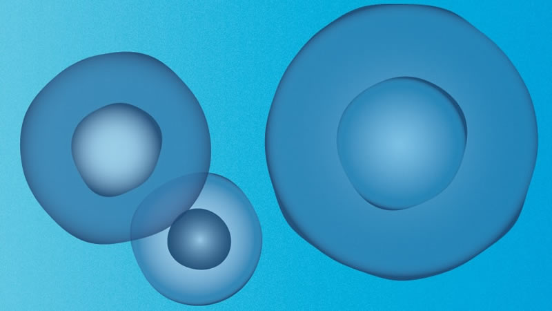 graphic representation of cancer tumor cells