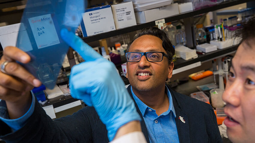 Sriram Venneti, M.D., Ph.D. studies a transparency while in his lab