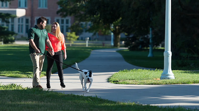 couple walking their dog