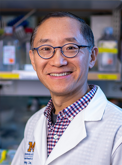 Weiping Zou, MD, PhD