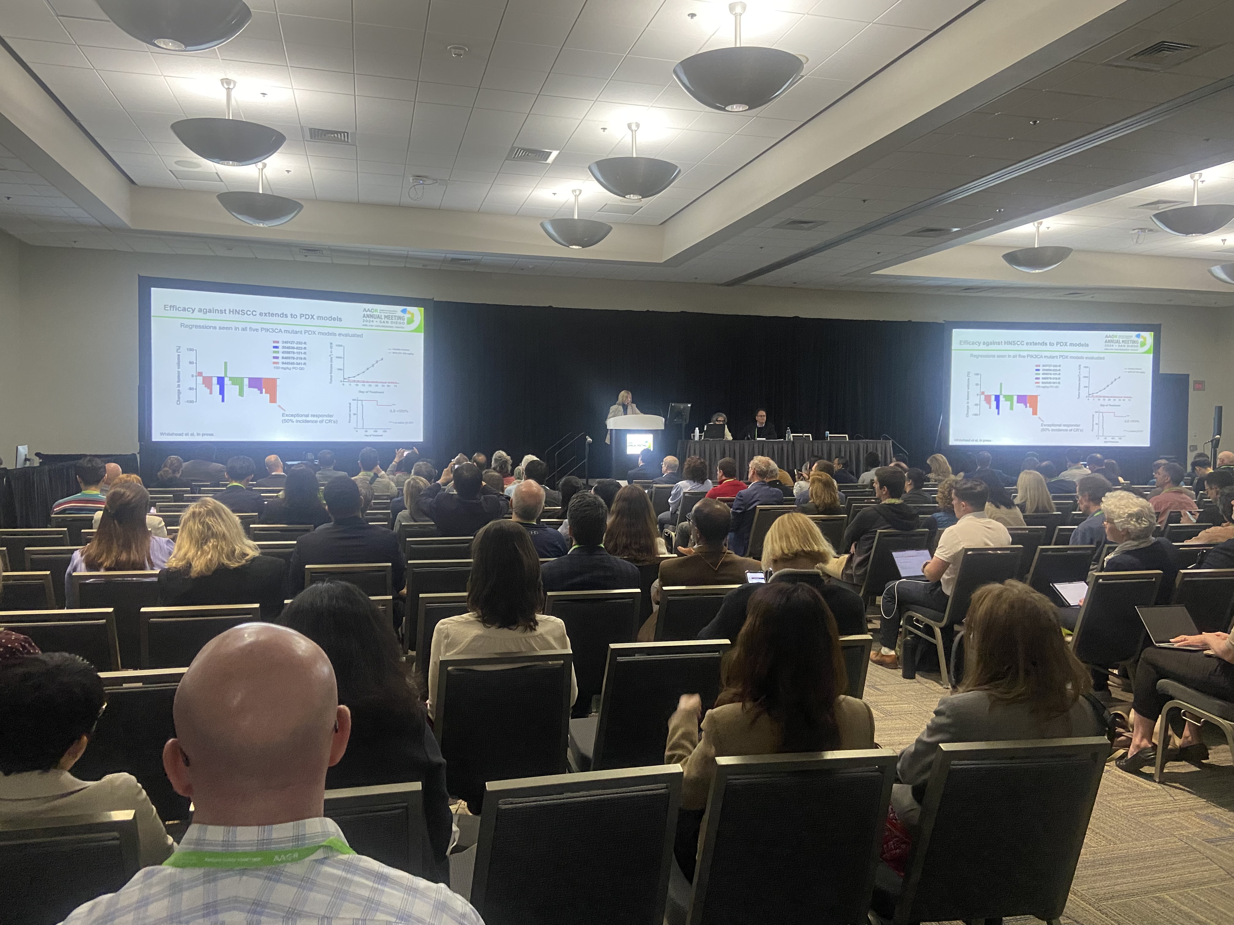 Judith Leopold at AACR