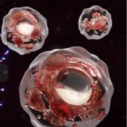researchers-find-clues-to-how-cancer-spreads-to-the-brain-university